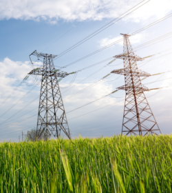 Hochspannungsleitungen und Pylons und eine grüne Landschaft an einem sonnigen Tag. Vereinigung von Landwirtschaft und Industrie auf einem Foto. Schöne Frühlingslandschaft der europäischen Ebene. (C) Shutterstock, YelentSevv