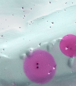 TPA KKS TÜV AUSTRIA Druckbehälter, Druckgeräte