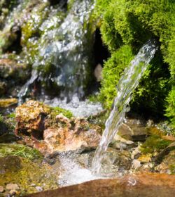 Source,Of,Spring,Water