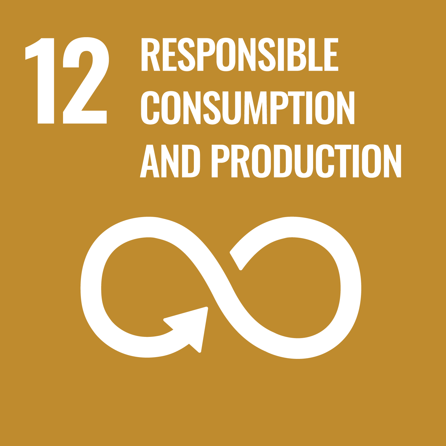 12-Responsible consumption and production